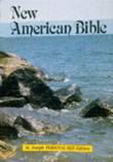 Foto de NEW AMERICAN BIBLE (PERSONAL SIZE)