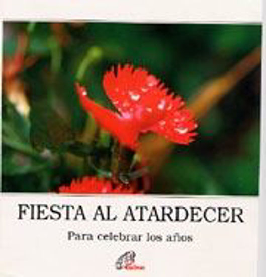 Foto de FIESTA AL ATARDECER #7