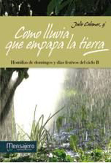 Foto de COMO LLUVIA QUE EMPAPA LA TIERRA (CICLO B)
