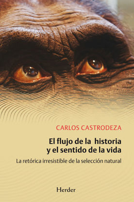 Foto de FLUJO DE LA HISTORIA Y EL SENTIDO DE LA VIDA (HERDER)