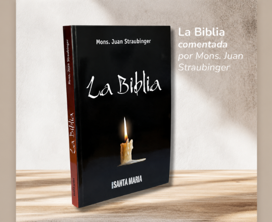Foto de BIBLIA  (STRAUBINGER)