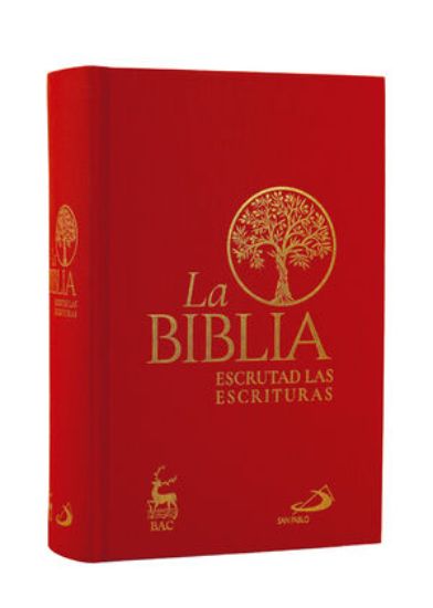 Foto de BIBLIA ESCRUTAD TELA (BAC)